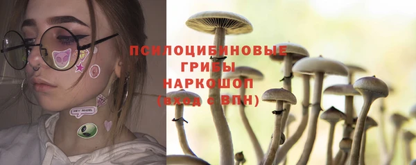 ALPHA PVP Арсеньев