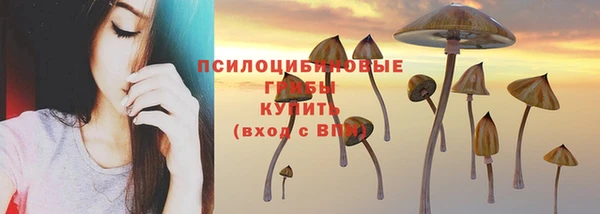 ALPHA PVP Арсеньев