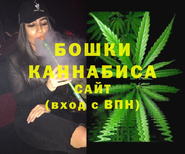 Альфа ПВП Аркадак