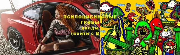 Альфа ПВП Аркадак