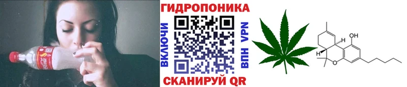 Конопля ГИДРОПОН  даркнет какой сайт  Терек  купить закладку 
